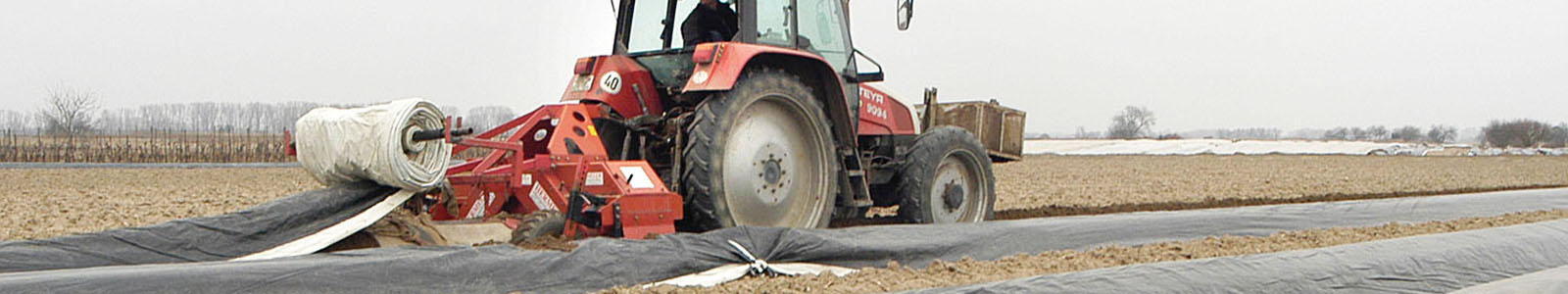 Traktor bringt Folie auf Spargelreihen aus © Dienstleistungszentren Ländlicher Raum
